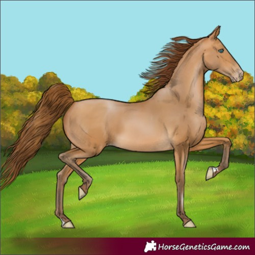 Horse Color:Gray Buckskin Pearl 