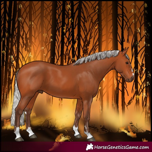 Horse Color:Silver Bay