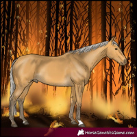 Horse Color:Silver Buckskin