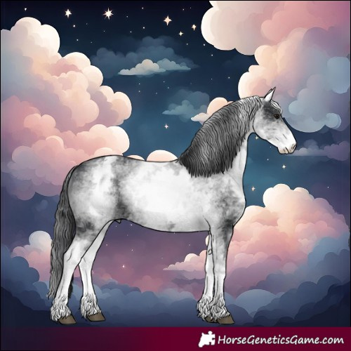 Horse Color:White Spotted Black 