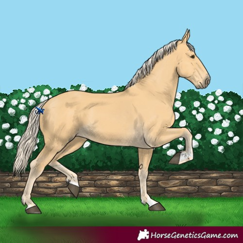 Horse Color:Palomino