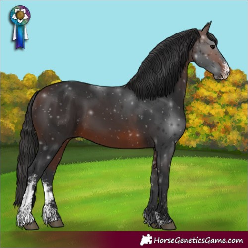 Horse Color:Brown Sabino