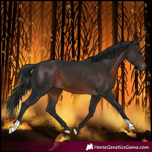 Horse Color:Brown 
