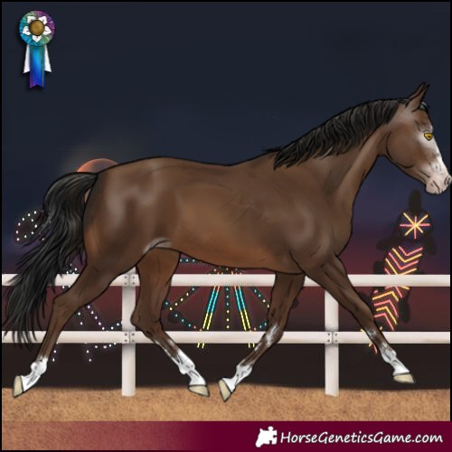 Horse Color:Gray Sable Champagne