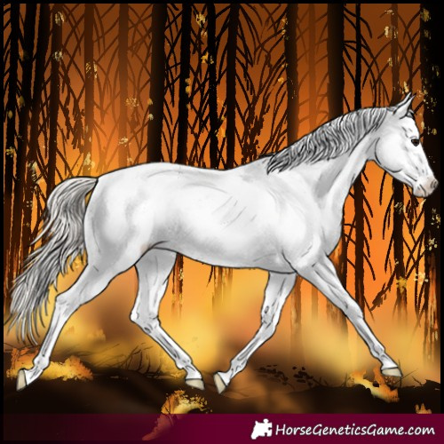 Horse Color:White Spotted Silver Black 