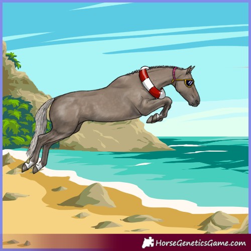 Horse Color:Silver Grullo 