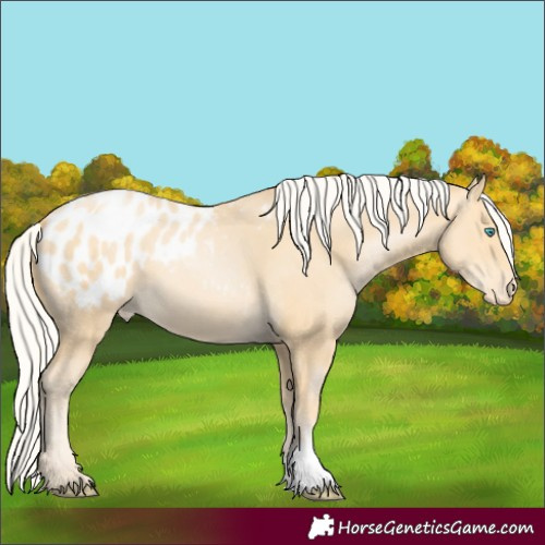 Horse Color:Silver Buckskin Pearl Varnish 