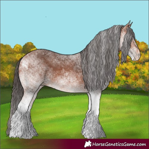Horse Color:White Spotted Bay