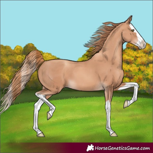 Horse Color:Gold Champagne Splash