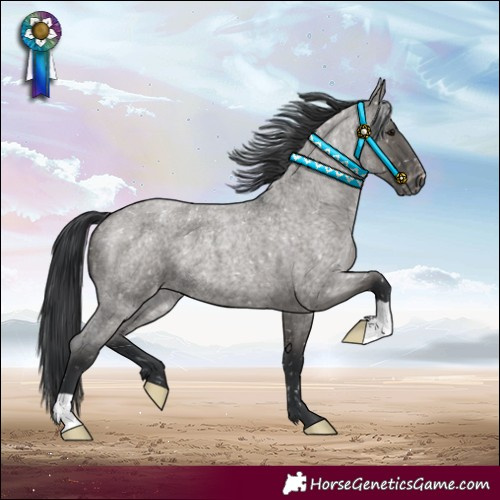Horse Color:Grullo Roan Blanket