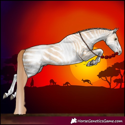 Horse Color:White Spotted Red Dun Varnish