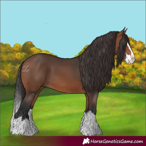 Horse Color:Bay Splash 