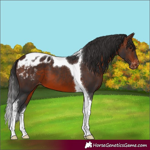 Horse Color:Brown Mushroom Tobiano Varnish