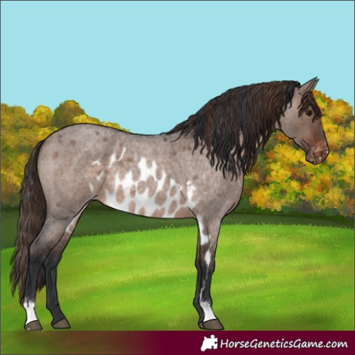 Horse Color:Brown Roan Dun Mushroom Skewed LP Spotted