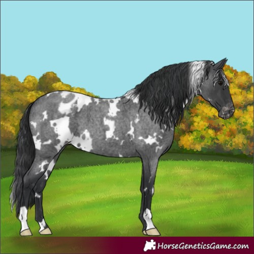 Horse Color:White Spotted Blue Roan Mushroom Varnish 
