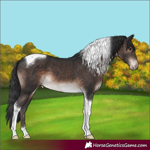 Horse Color:Brown Mushroom Tobiano Varnish 