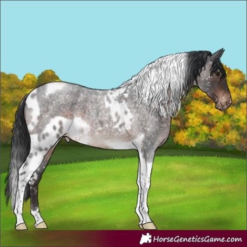 Horse Color:Brown Roan Mushroom Tobiano Skewed LP Spotted 