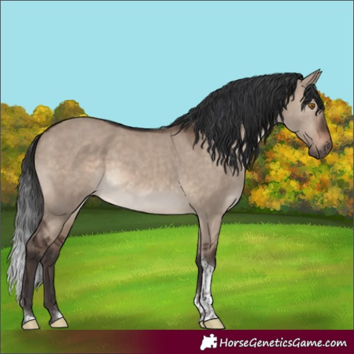 Horse Color:Brown Dun Mushroom Tobiano