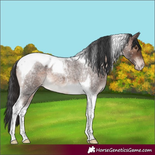 Horse Color:Brown Roan Mushroom Tobiano Skewed LP Spotted 