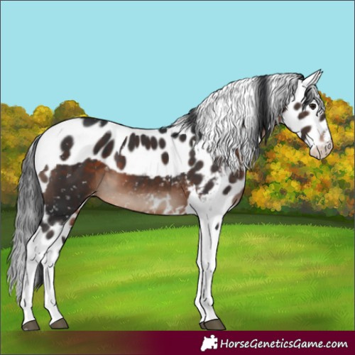 Horse Color:White Spotted Brown Mushroom Tobiano Skewed LP Spotted 