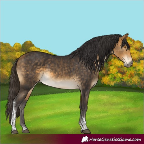 Horse Color:Buckskin Mushroom Tobiano 