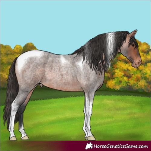 Horse Color:Bay Roan Mushroom Tobiano Varnish