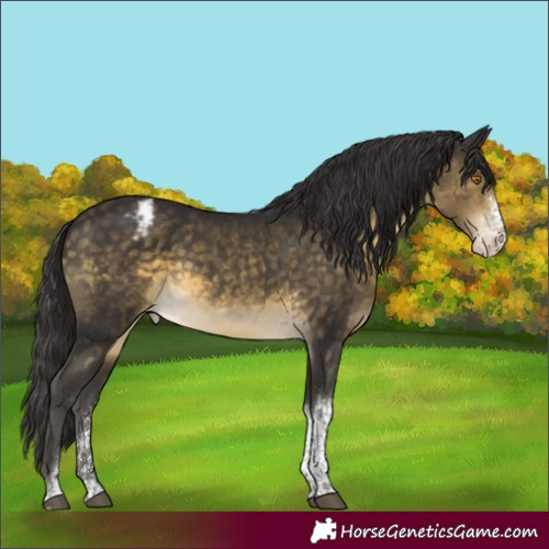 Horse Color:Buckskin Mushroom Sabino Tobiano Blanket 