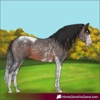 Horse Color:Brown Mushroom Sabino Tobiano Snowflake Varnish