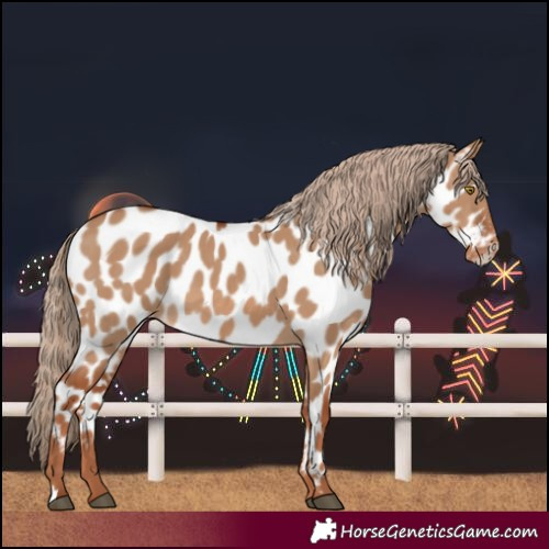 Horse Color:Red Dun Near Leopard