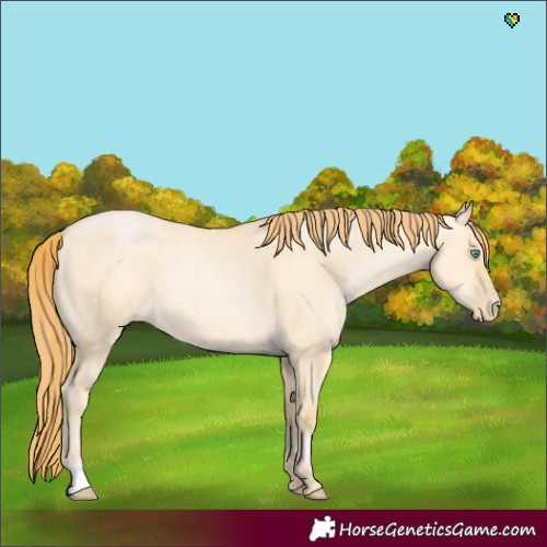 Horse Color:Buckskin Pearl Dun Brindle 