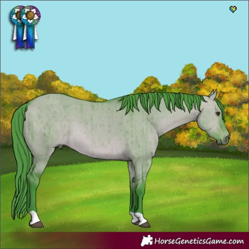 Horse Color:Watercolor Bay Dun Brindle 