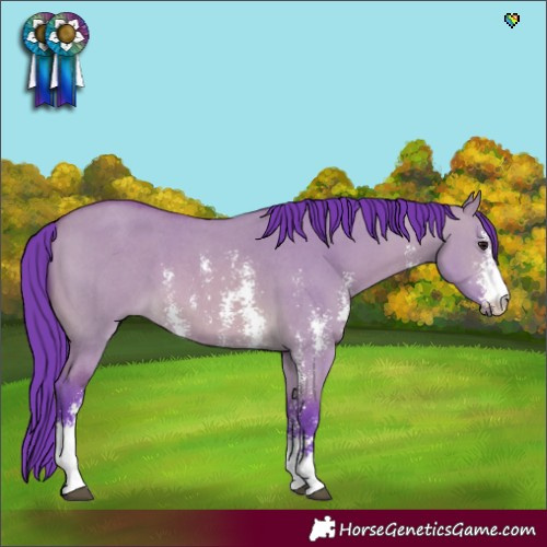 Horse Color:Watercolor Bay Dun Sabino