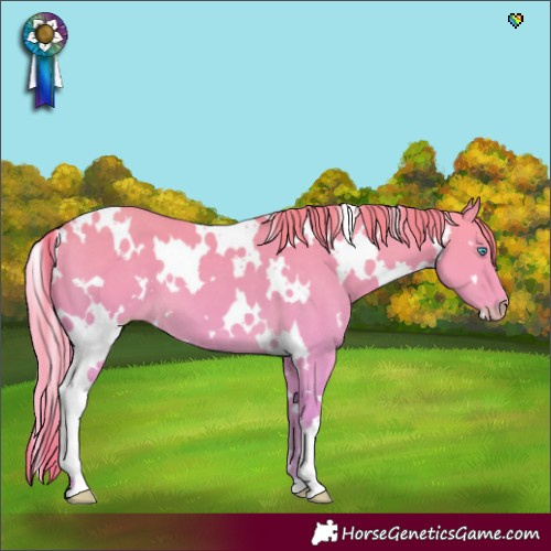 Horse Color:White Spotted Perlino Dun 