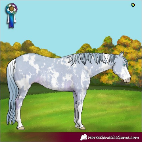 Horse Color:White Spotted Perlino Dun Sabino 