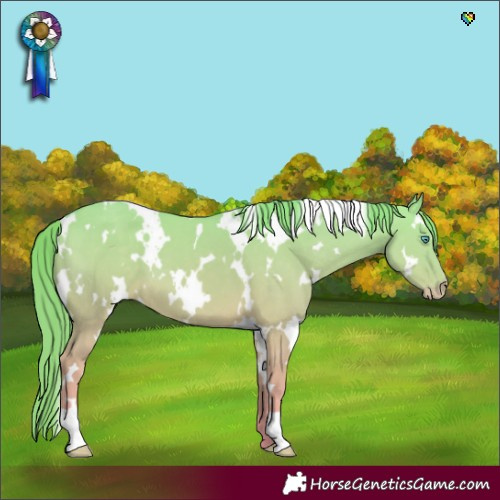 Horse Color:White Spotted Perlino Dun 