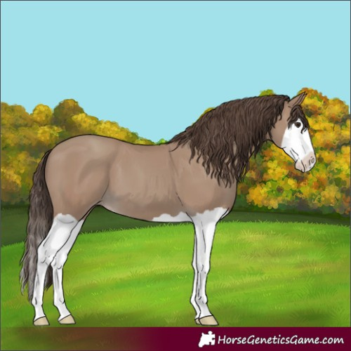 Horse Color:Classic Champagne Splash 