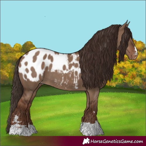 Horse Color:Liver Red Dun Blanket
