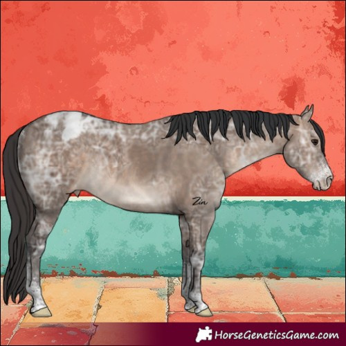 Horse Color:Brown Ice Dun Sabino Varnish Rabicano 