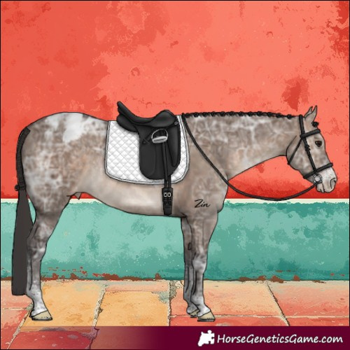 Horse Color:Brown Ice Dun Sabino Varnish Rabicano