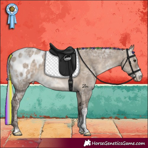 Horse Color:Painted Silver Brown Ice Dun Sabino Blanket Rabicano 