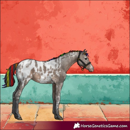Horse Color:Painted Brown Ice Dun Sabino Blanket Rabicano 