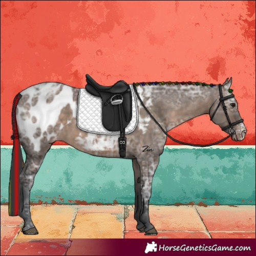 Horse Color:Painted Brown Ice Dun Sabino Blanket Rabicano 