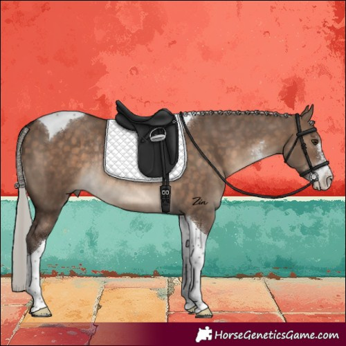 Horse Color:Silver Brown Dun Sabino Tobiano Rabicano