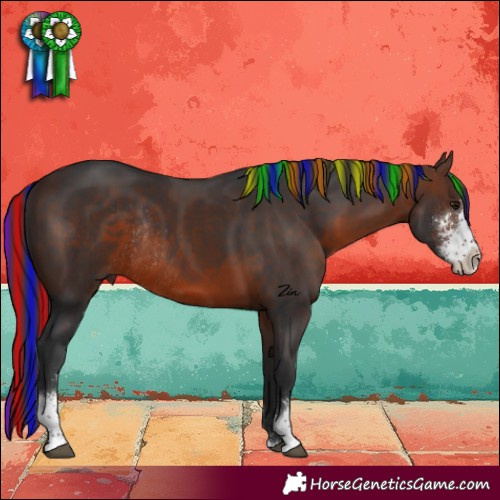 Horse Color:Painted Brown Sabino Rabicano