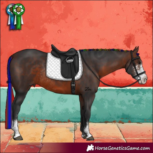 Horse Color:Painted Brown Sabino Rabicano 
