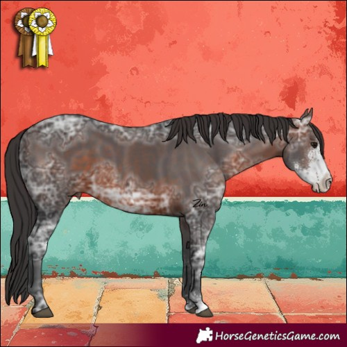 Horse Color:Brown Ice Sabino 