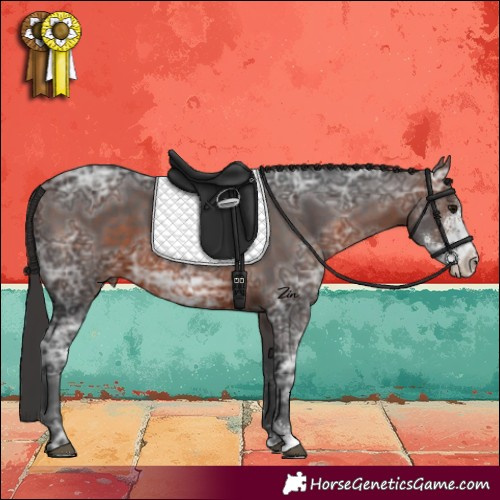 Horse Color:Brown Ice Sabino 