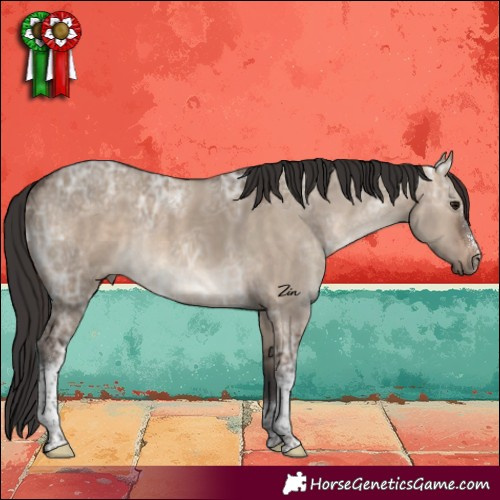 Horse Color:Brown Ice Dun Sabino Tobiano Rabicano