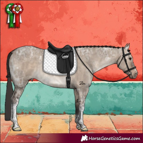 Horse Color:Brown Ice Dun Sabino Tobiano Rabicano
