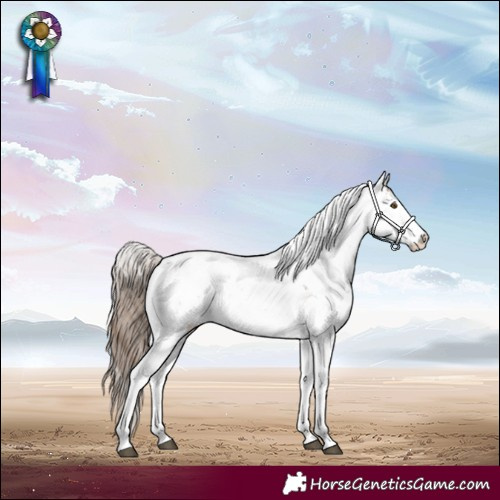 Horse Color:Brown Pearl Sabino Rabicano